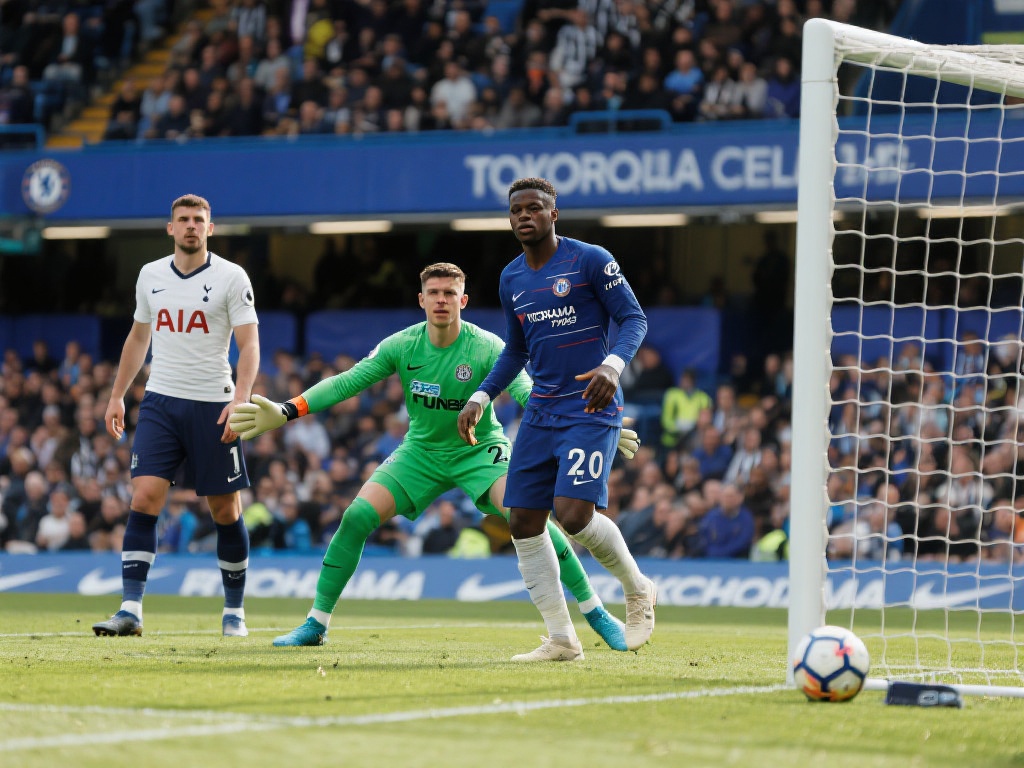 桑乔的未来 桑乔的未来